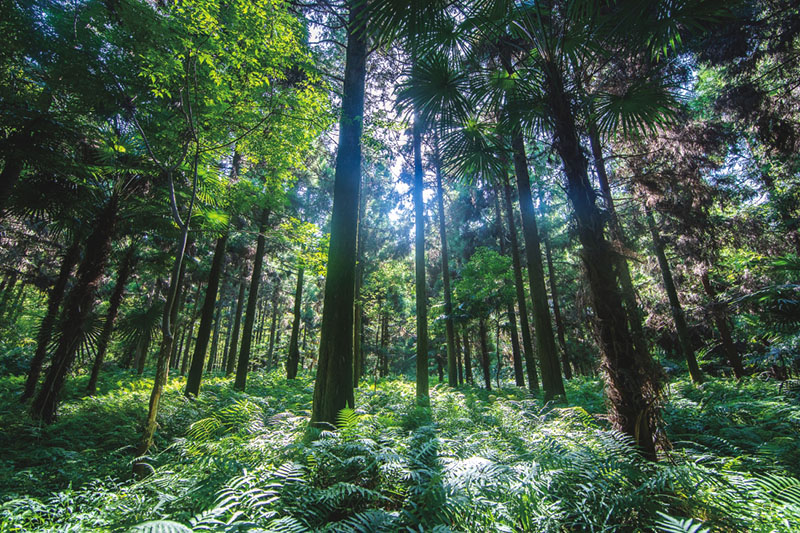 個性化定制，讓家煥發新魅力
